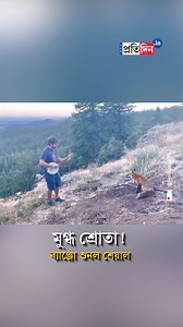 Wild fox walks up to man playing banjo and listens to him patiently [Wild fox, Music Lovers, Banjo, Animal Lovers, Viral Video] #wildfox #viralvideoシ #viralreelsシ #banjomusic #SangbadPratidin | Sangbad Pratidin