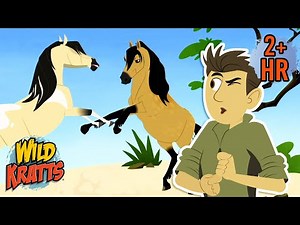 Wild Pony Stallion Showdown | Creature Combat | Animals for Kids | Wild Kratts