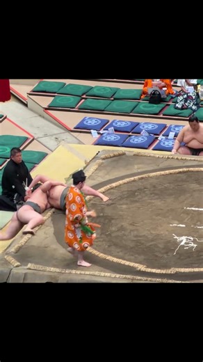 清水海VS豪ノ勝！2026年大相撲5月場所