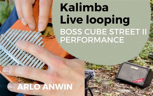 Kalimba Live Looping - BOSS Cube Street II Live Performance - Arlo Anwin