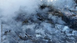 horizontal video of smoke rising from a pile of smoldering debris or leaves, suggesting a controlled burn or natural occurrence. The smoke appears thick and diffused, covering the scene and partially