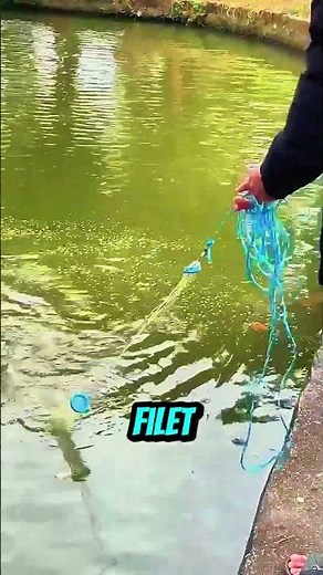 Master cast net fishing for abundant catches!