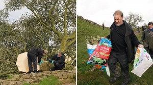 Who cut down the Sycamore Gap Tree? Forensic examiners search scene as theories mount | LBC
