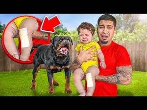 OUR NEW DOG BIT OUR BABY…