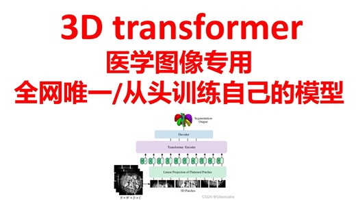 3D transformer全网唯一+3D医学图像专用+可从头训练自己的模型