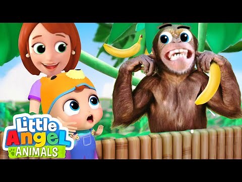 Trip To The Zoo Song | Fun Animal Sing Along Songs by Little Angel Animals
