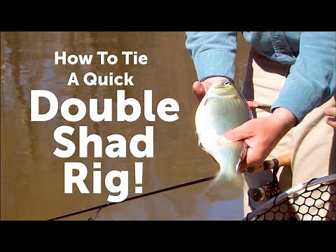 How To Tie A Quick Double Shad Rig