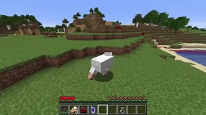 Villagers Split the Village in Half in Minecraft!