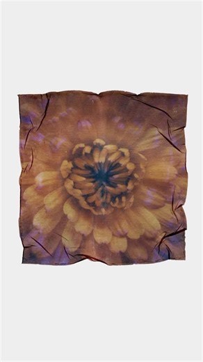 Kindred Cameras on Instagram: "Used some flower still life photos I shot in the studio the other day to do some Polaroid emulsion lifts. I love how the Polaroid Lab lets me turn my photos into unique works of art! #analogphotography #filmisnotdead #polaroidphotography #polaroidlovers #filmlovers #creativephoto #alternativeprocessphotography"