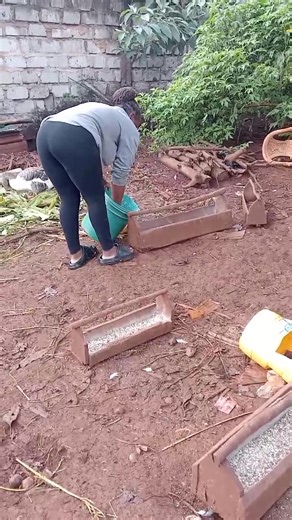 Poultry Farming Techniques for Turkeys and Ducks