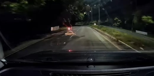 Leopard Tries to Attack Biker on Tirumala Ghat Road; Video Goes Viral