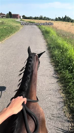 Metronomo perfetto: La musica per il tuo cavallo
