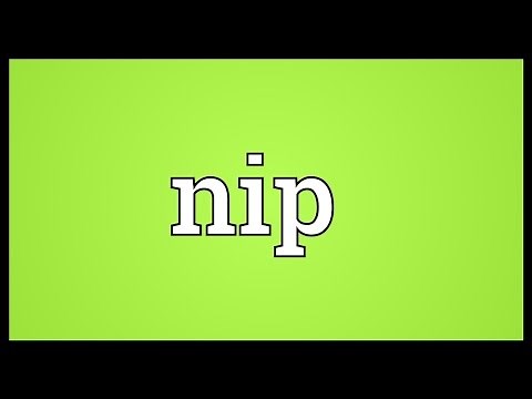 Nip Meaning