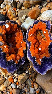 Fiery orange crystals erupting from a velvet purple base. Nature’s masterpiece! #Geology #FineMinerals | Fauzan Gems Hunter