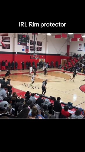 IRL Rim Protector: Mastering Basketball Defense
