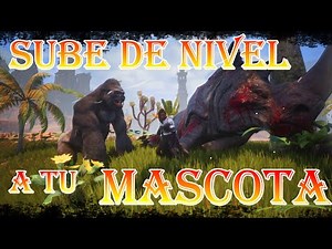 CONAN EXILES Mascotas / Pets Subir de nivel sin morir en el intento. La matanza de Gorilon.