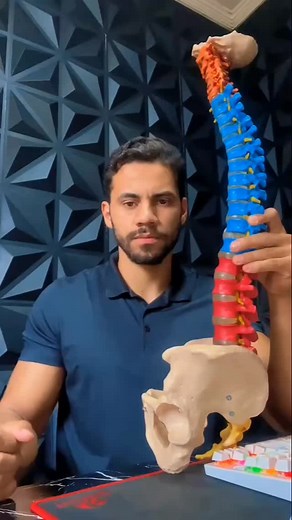 8.3K reactions · 1.4K shares | How to relieve back pain. #sciaticapain #backpainrelief #herniateddisc #backpain #relief | Alex Sandro Spinefit | Facebook