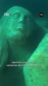 🌊Un stratagème unique au monde pour éloigner les chalutiers !