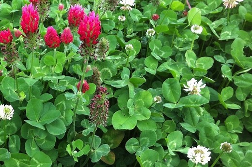 24822■寺岡オートドア 自動ドア 片引き２枚 ガラス扉 W625×H2310 感知センサー■展示品/取り外し品/品