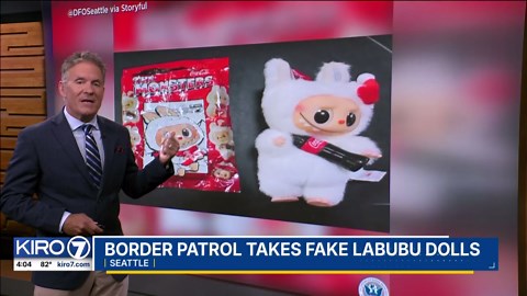 VIDEO: Border Patrol takes fake Labubu dolls