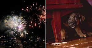 Trots debatten– svenska kommunen planerar större nyårsfyrverkeri än vanligt: "Kommer att märkas"