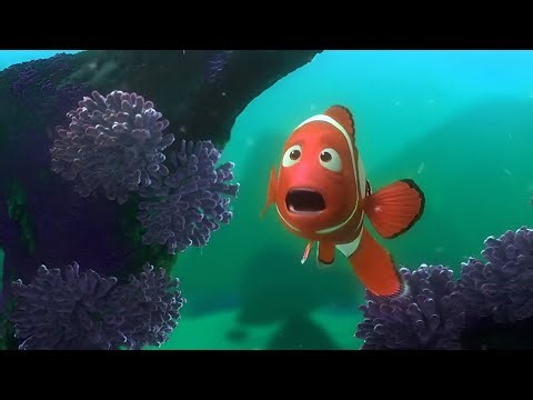 Finding Nemo - Hey they knew sedney!!!! | Sponsored by Gamavision Csupo Effects 