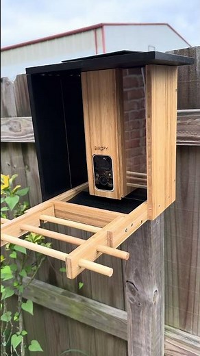 A Bird Feeder with a Camera & Solar Power? Meet the Birdfy AI!