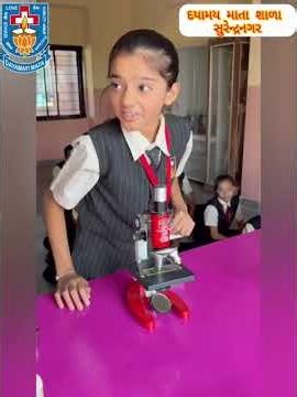 Onion Cell Experiment | Easy Microscopic Observation for Students | Biology Practical - DMS