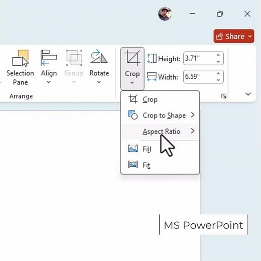 MS PowerPoint Crop Aspect Ratio