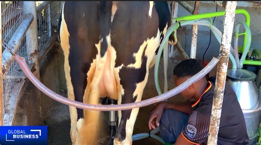 Kenya’s small-scale dairy farmers turn to digital tools to enhance production Dairy farming, a vital part of Kenya’s agricultural sector, faces significant challenges due to high costs and unpredictable yields. However, a digital revolution is underway, with small-scale farmers embracing technology to boost productivity. CGTN’s Marion Gachuhi visited a farm in Nairobi, where one farmer is leveraging digital tools to enhance efficiency. | CGTN Africa