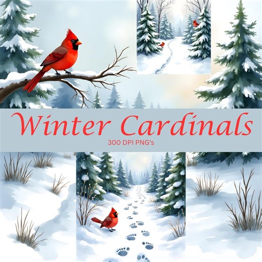 Winter Cardinals Clip Art Set Red Cardinal in Snow Woodland Scene Christmas Bird Snowy Forest Clipart - Etsy
