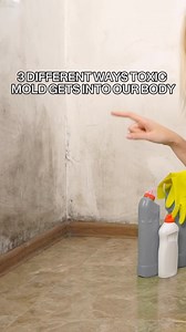 2.3K views · 98 reactions | Did you know toxic mold can enter your...