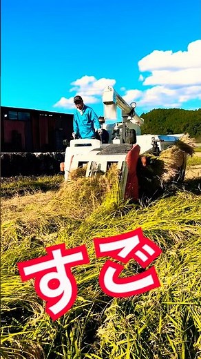 Kubota WR460クボタの60馬力コンバインで刈り取り🏃‍♂️#kubota #harvester #harvesters #コンバイン #combine #農業 #農家 #割倒#割稲