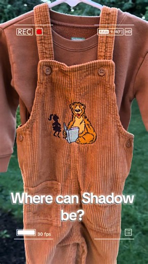 Such a sweet pair of Bear in the Big Blue House overalls! I just love Shadow & my son gets so excited when he hears Bear sing for Shadow. 🥰#bearinthebigbluehouse #bbbh #y2k #embroidery #nostalgia