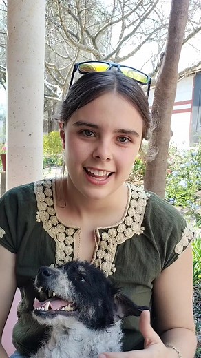 Pulgas Descubramos el mundo descalzos . . Para más biología en tu vida Sígueme en . YouTube como Ana Descalza (link en mi perfil) . Instagram: @ana.descalza . TikTok: @ana.descalza . . . . . . #anadescalza #biologa #comunicacióndelaciencia #nature #biology #biología #divulgacioncientifica #capcut#pulgas #microscope #microscopio #perro#happydog