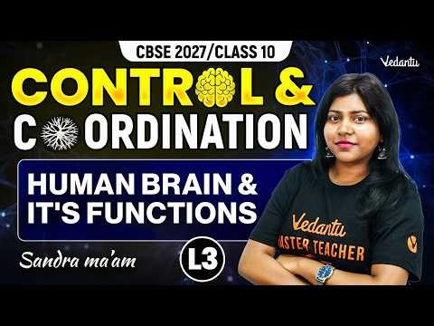 Control and Coordination | Human Brain and Its Functions L3 | Class 10 Biology | Sandra Ma'am