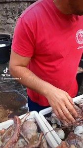 13K views · 142 reactions | #cataniabedda #motopescamarialucia #pescatori #italiandesign #sicilia | Motopesca Marialucia | Facebook