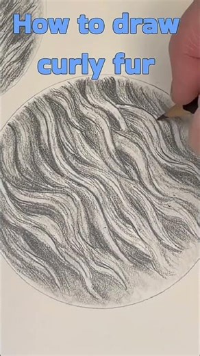Learn how to draw curly fur in graphite #drawingtutorial