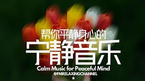 【舒压纯音乐 RELAX PEACEFUL MUSIC】1小时平静钢琴背景音乐 PIANO PLAYLIST，完全放松的音乐，疗癒情绪平衡，聆听自然之声_哔哩哔哩_bilibili
