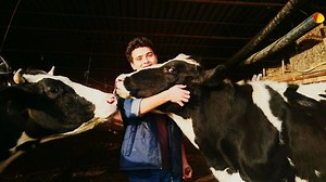 Is cow hugging the world’s new wellness trend?