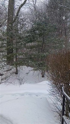 A very pretty snowfall. | Johnnie Kight