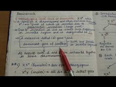 Methods for mutation detection in Drosophila.