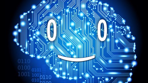 The quantum physics within you