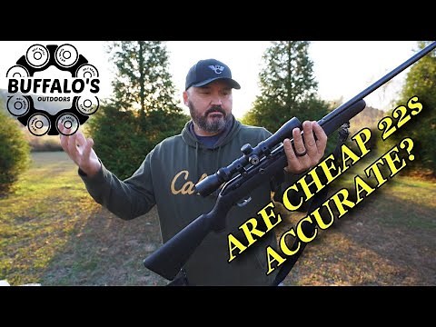 How accurate are cheap 22s? (ft. Savage model 64)