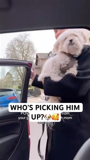 BEST FEELING when the whole pack is together 🐶❤️ #shorts