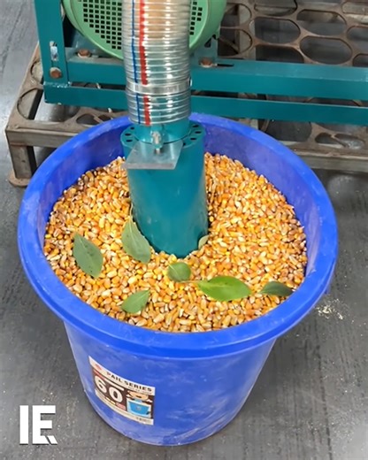This corn grinder makes short work of milling corn flour. 📹: dawnagrofactory / IG | Interesting Engineering