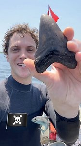 Scuba diving 🤿 the river for fossils and sharks teeth. #megalodon #scubadiving #sharks #sharkteeth #treasurehunt #nuggetnoggin #diving #treasurehunting #adventuretravel | Nugget Noggin