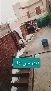 اولوں کی برسات ایک ساتھ |لاہور میں شدید ژالہ باری اور بارش|Power of Nature |Nature is Angry #hails