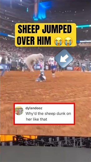 Sheep really EMOTED 😂😭