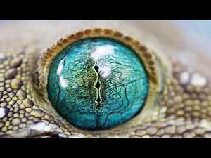 Underground Tech House Mix 2020 | #techhouse